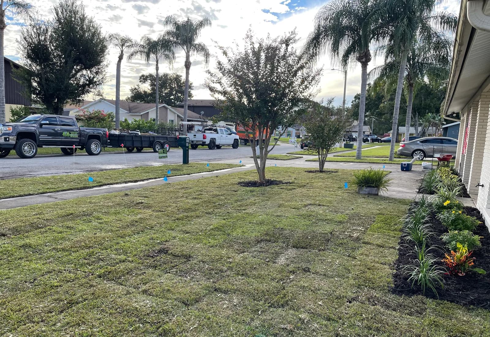 Tampa Residential Sod Replacement
