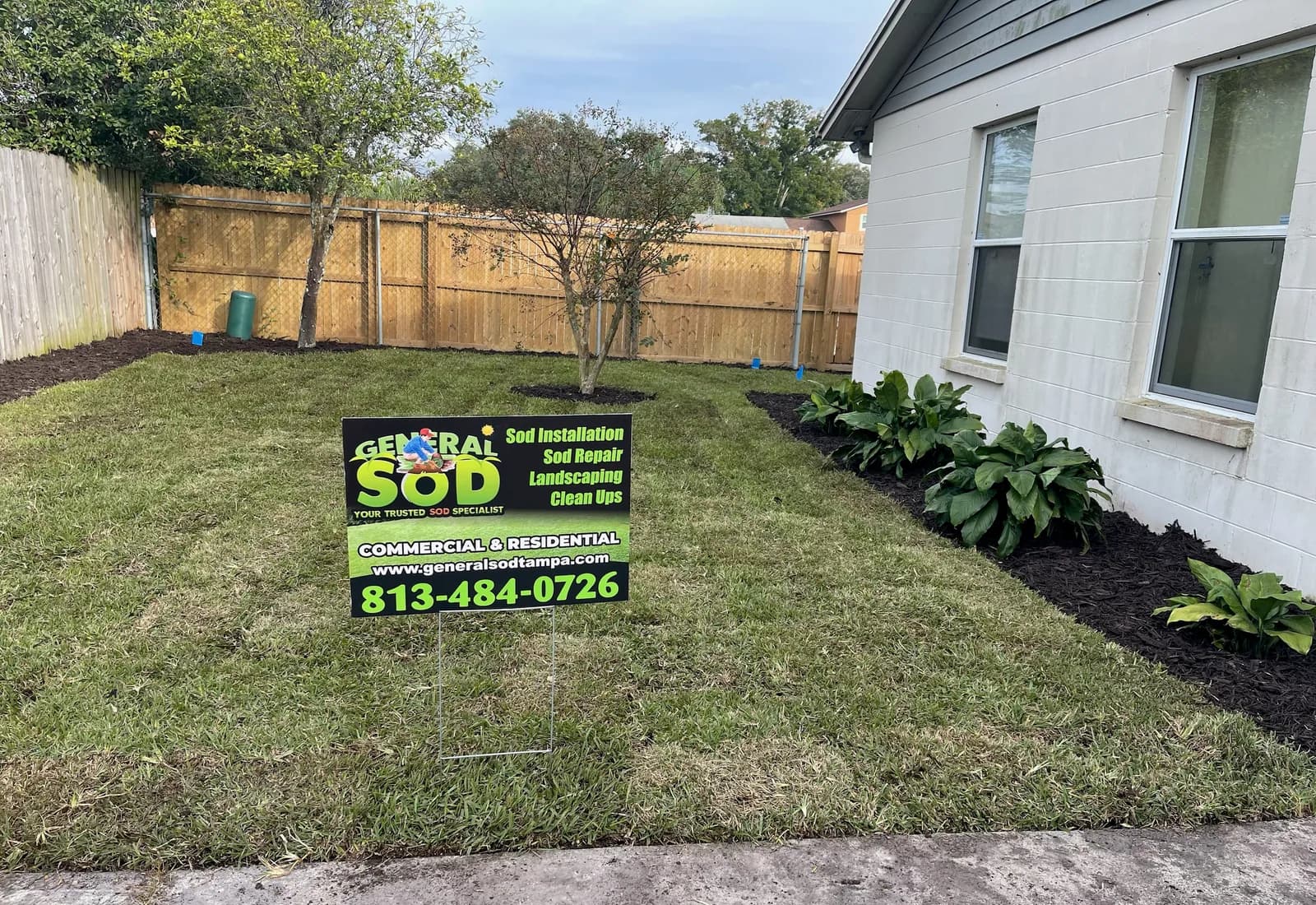 Tampa Residential Sod Replacement