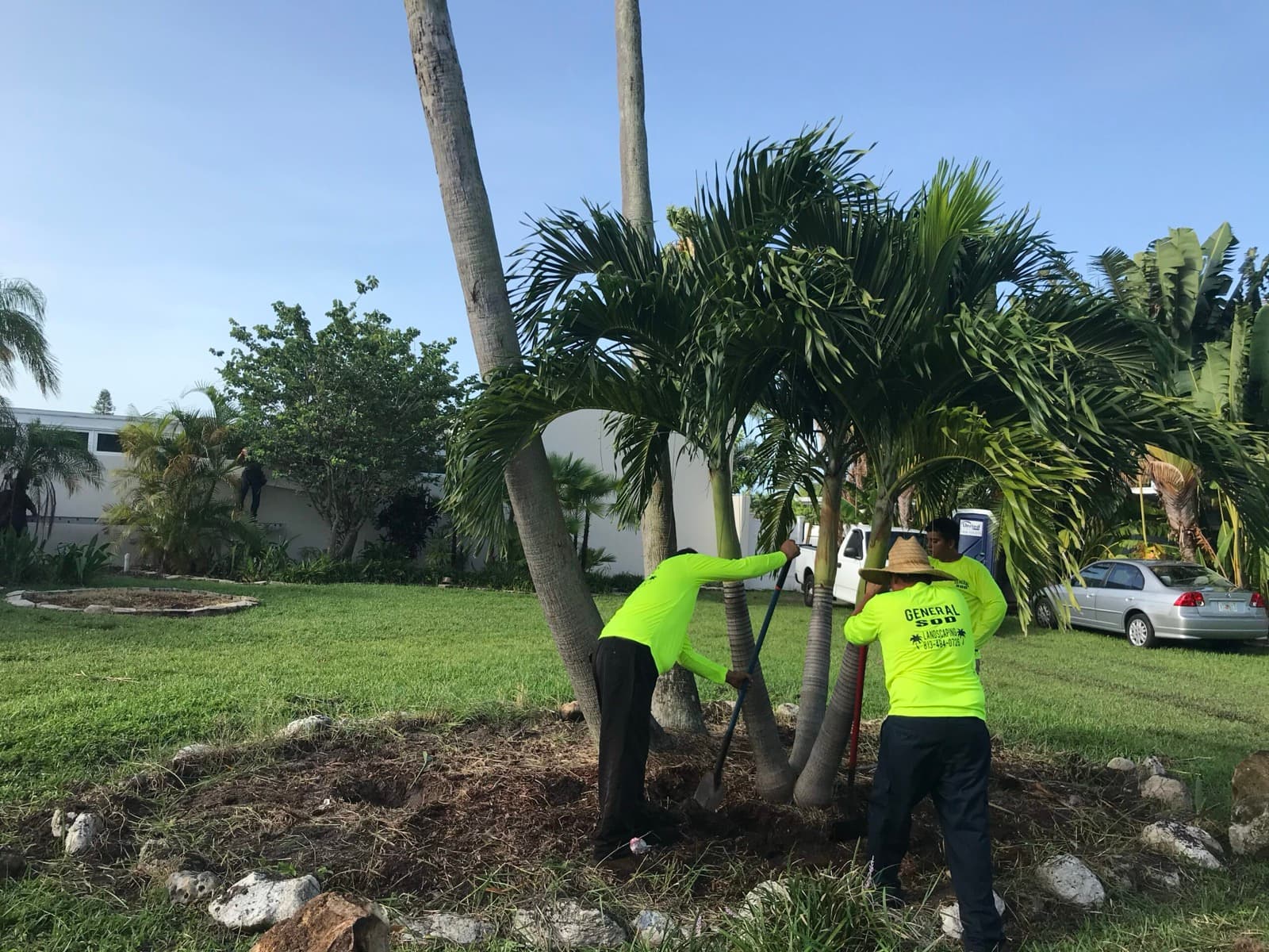 General Sod Tampa finished outdoor transformation