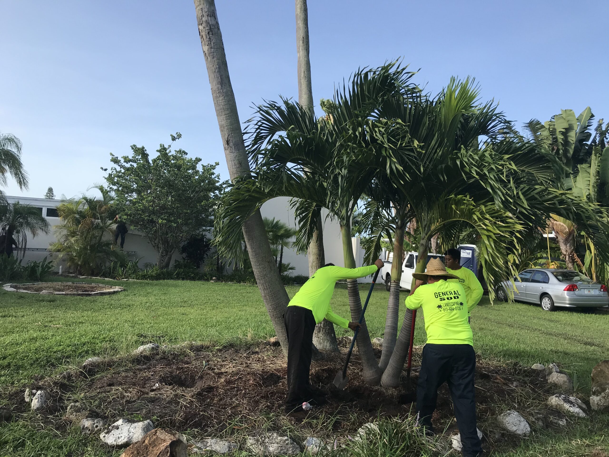 Transform Your Lawn article preview